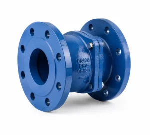 Check valves for water